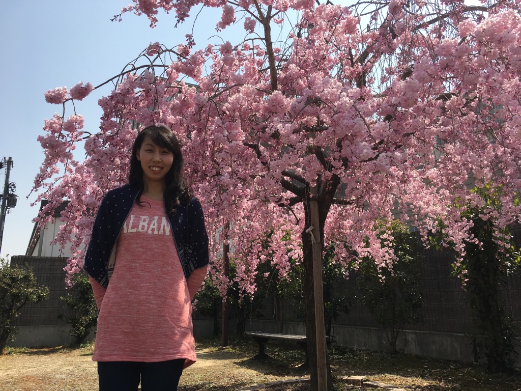天神川の桜と岩本サ責